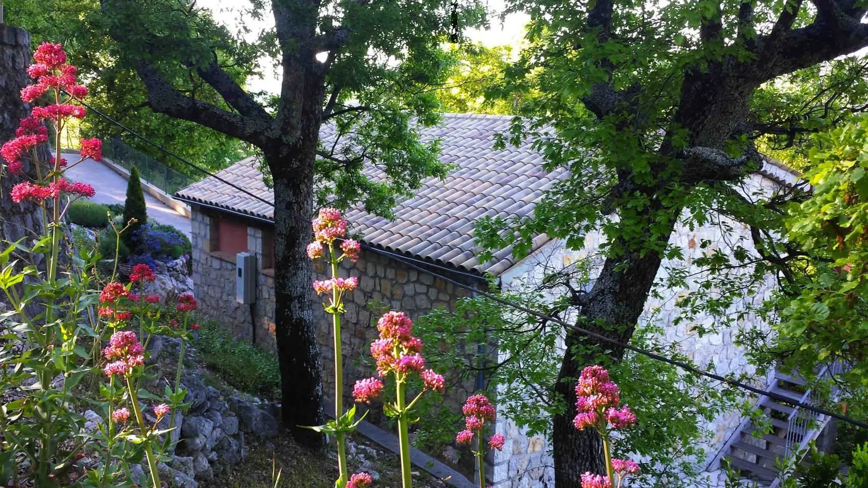 Le Cheiron-Extérieur-Coursegoules-Gites de France Alpes-Maritimes.