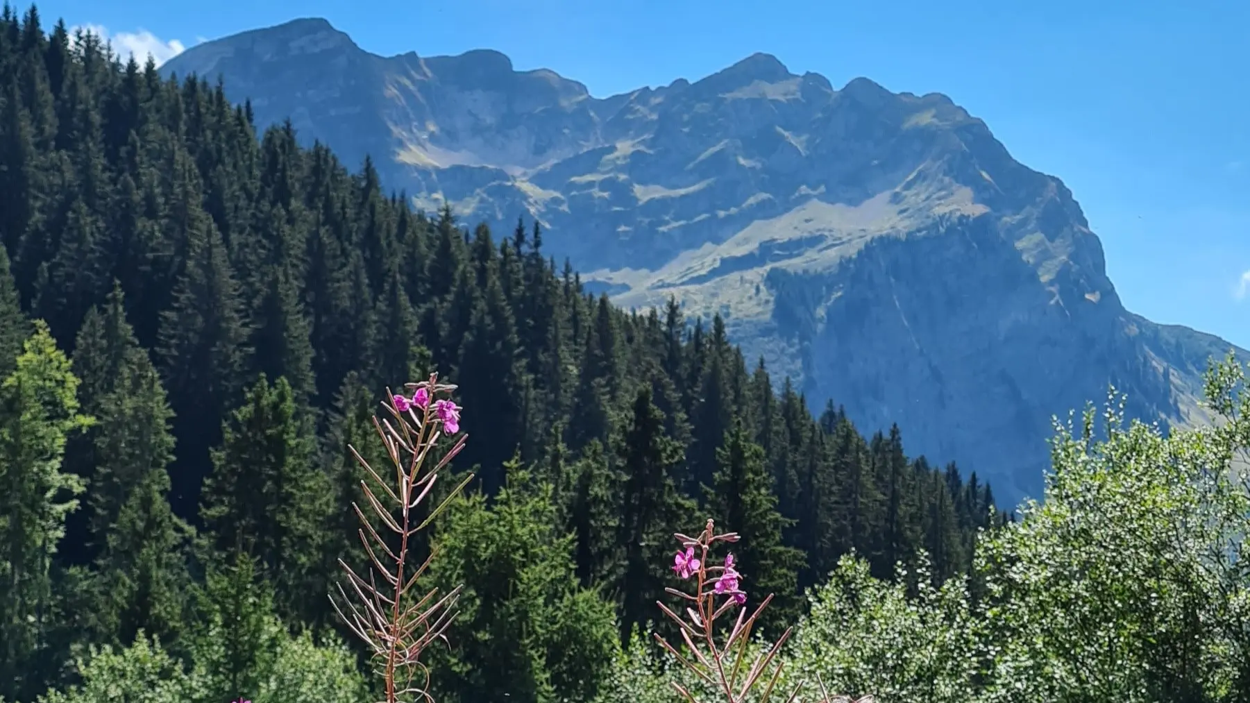 Vue sur le Roc d'Enfer en arrivant au sommet du Torchon