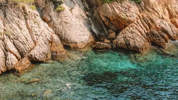 Afternoon cruise : The secret Calanques of Marin park of the Blue Coast