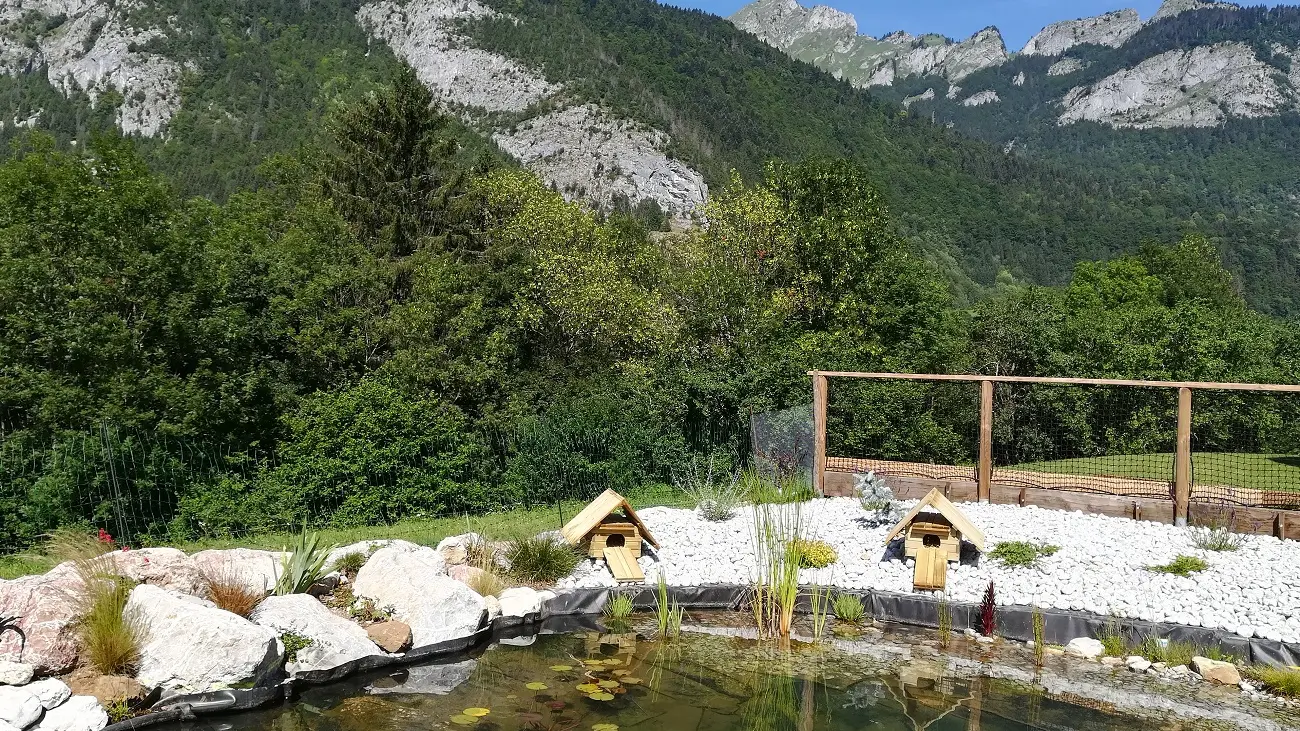 étang et vue montagne