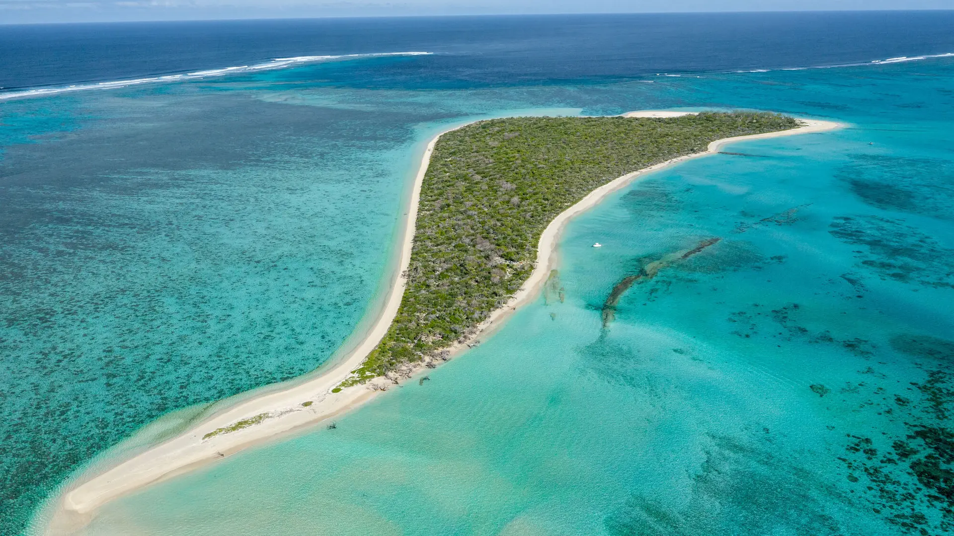 Aerial view - Tenia Island