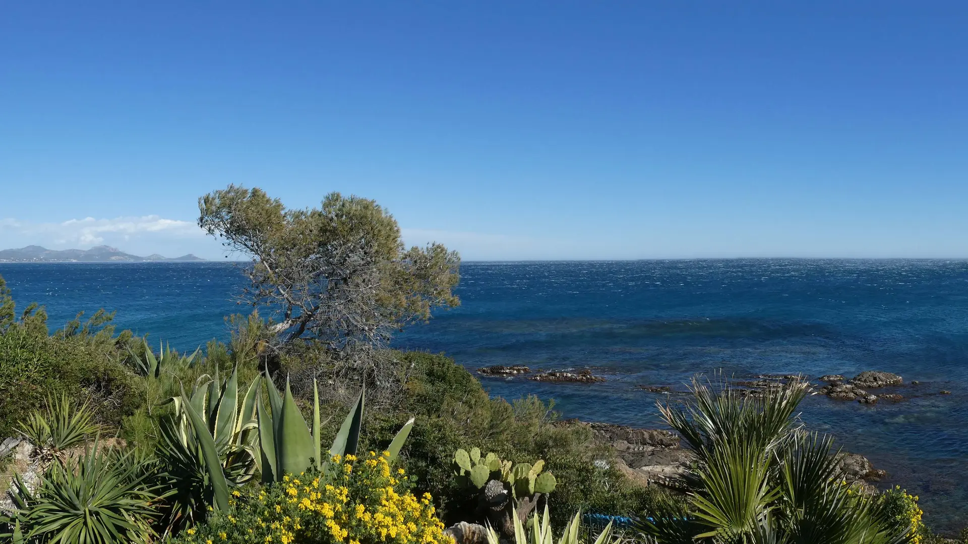 Vue de la terrasse