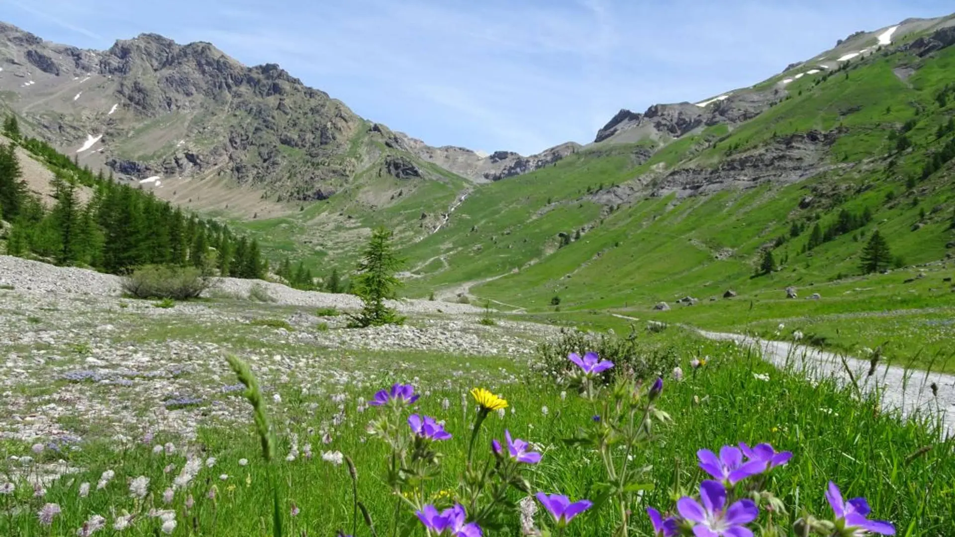 Sur les traces des bergers