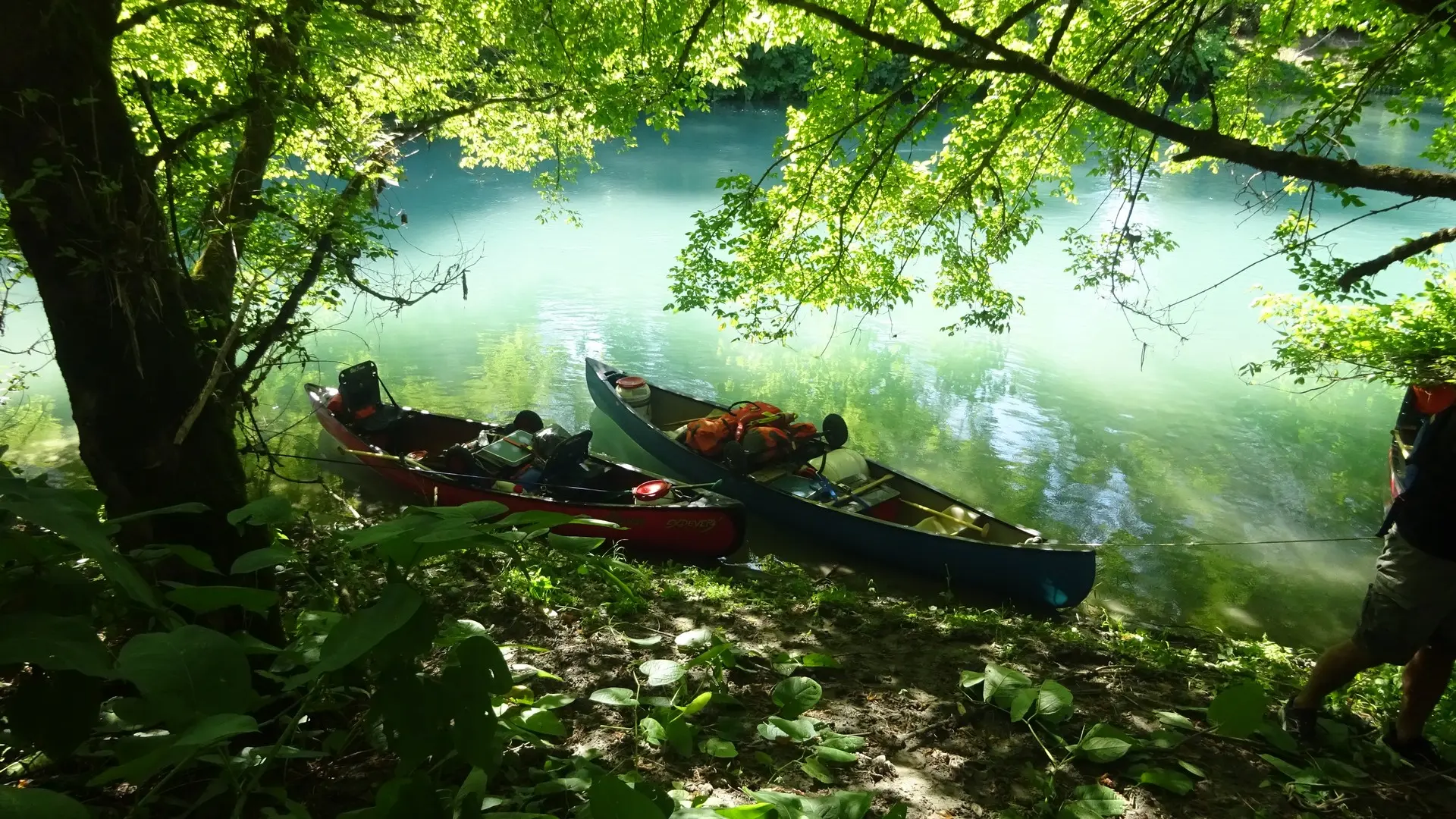 Robinson Canoé, le Petit Rhône à canoé sauvage à Arles