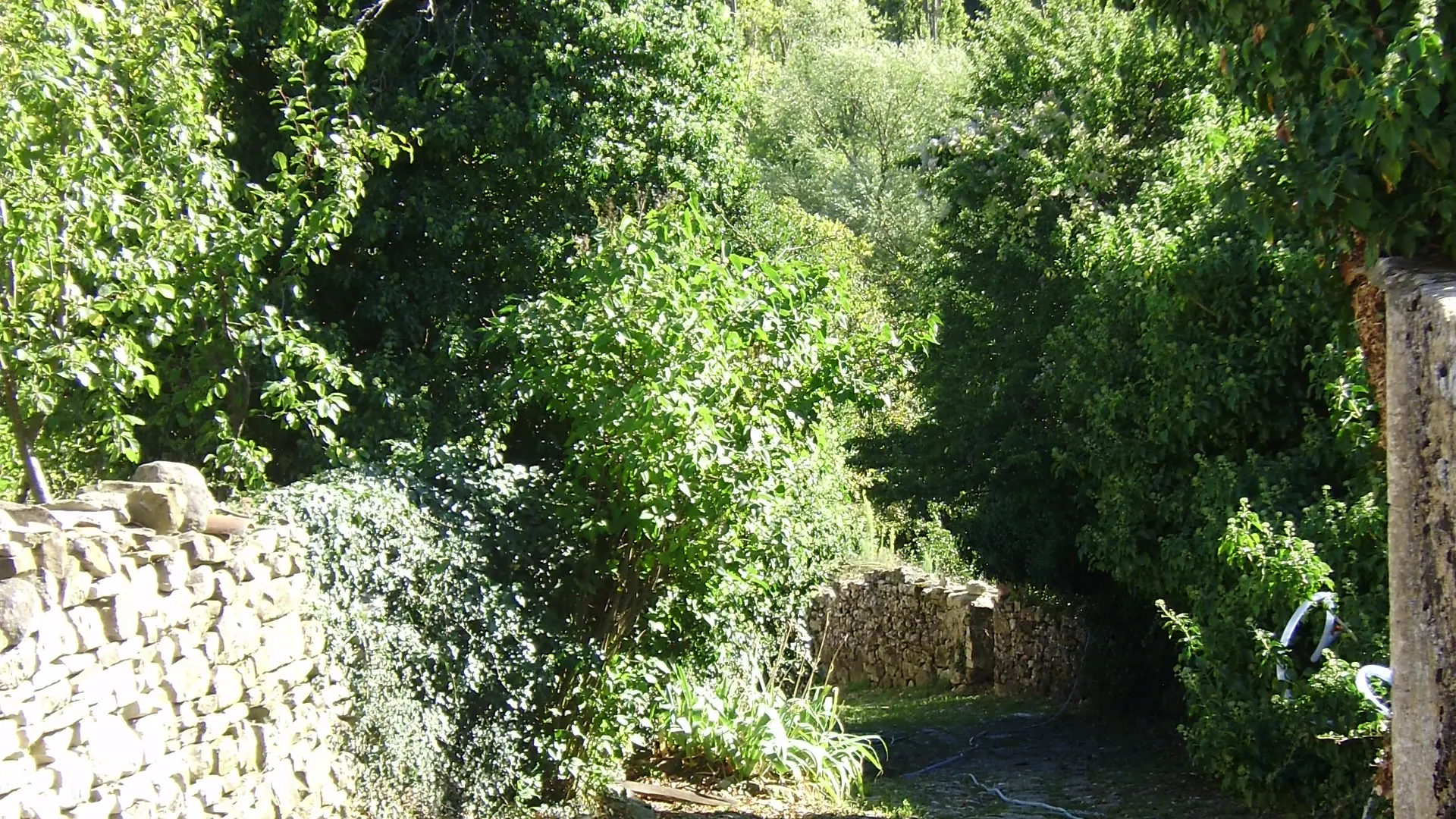 chemin
