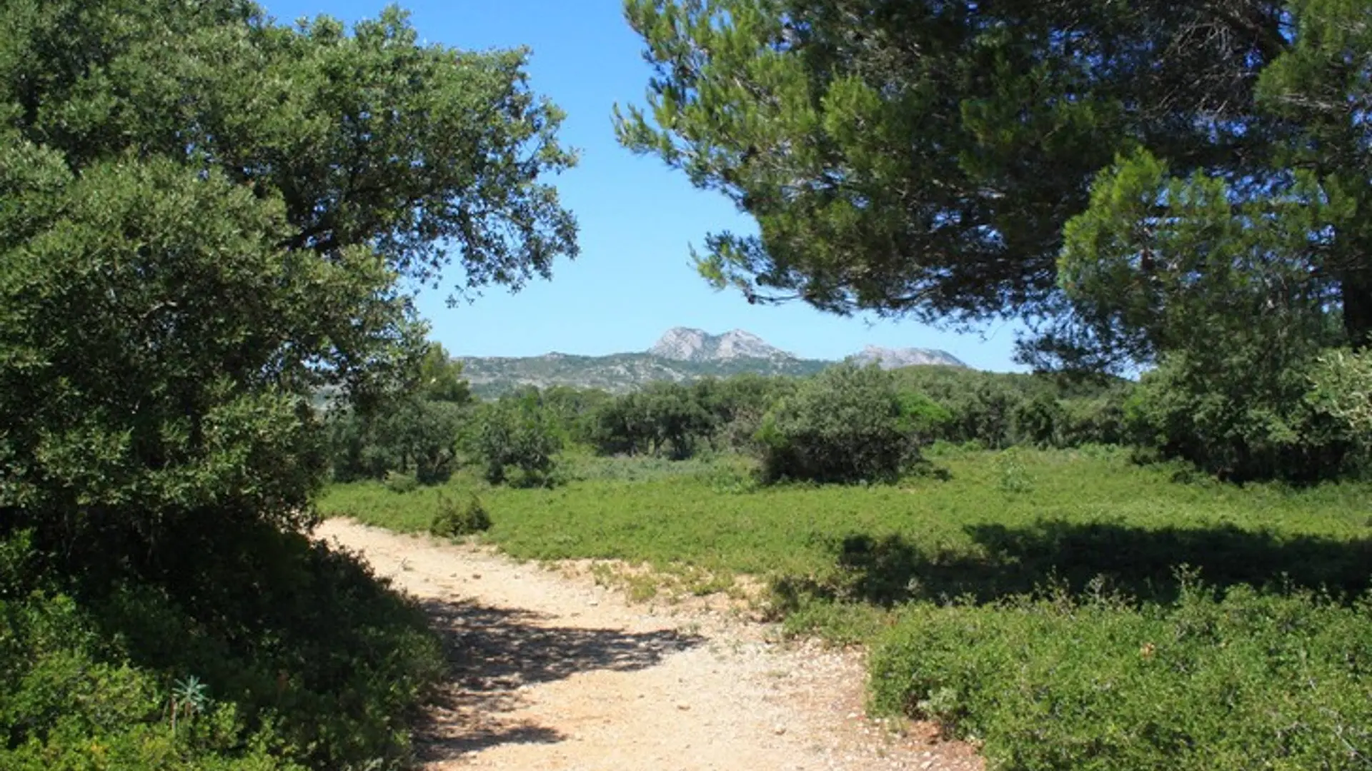 Vue sur le mont Castellas