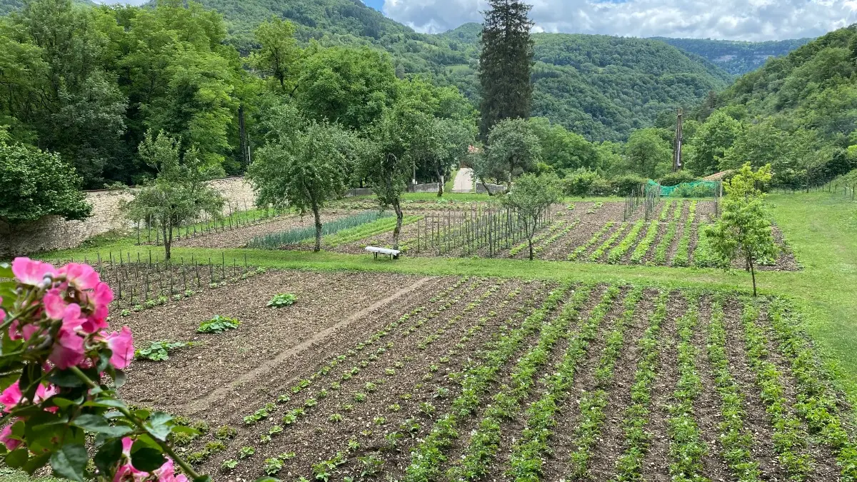 Abbaye de Saint Rambert en Bugey - Le potager des soeurs