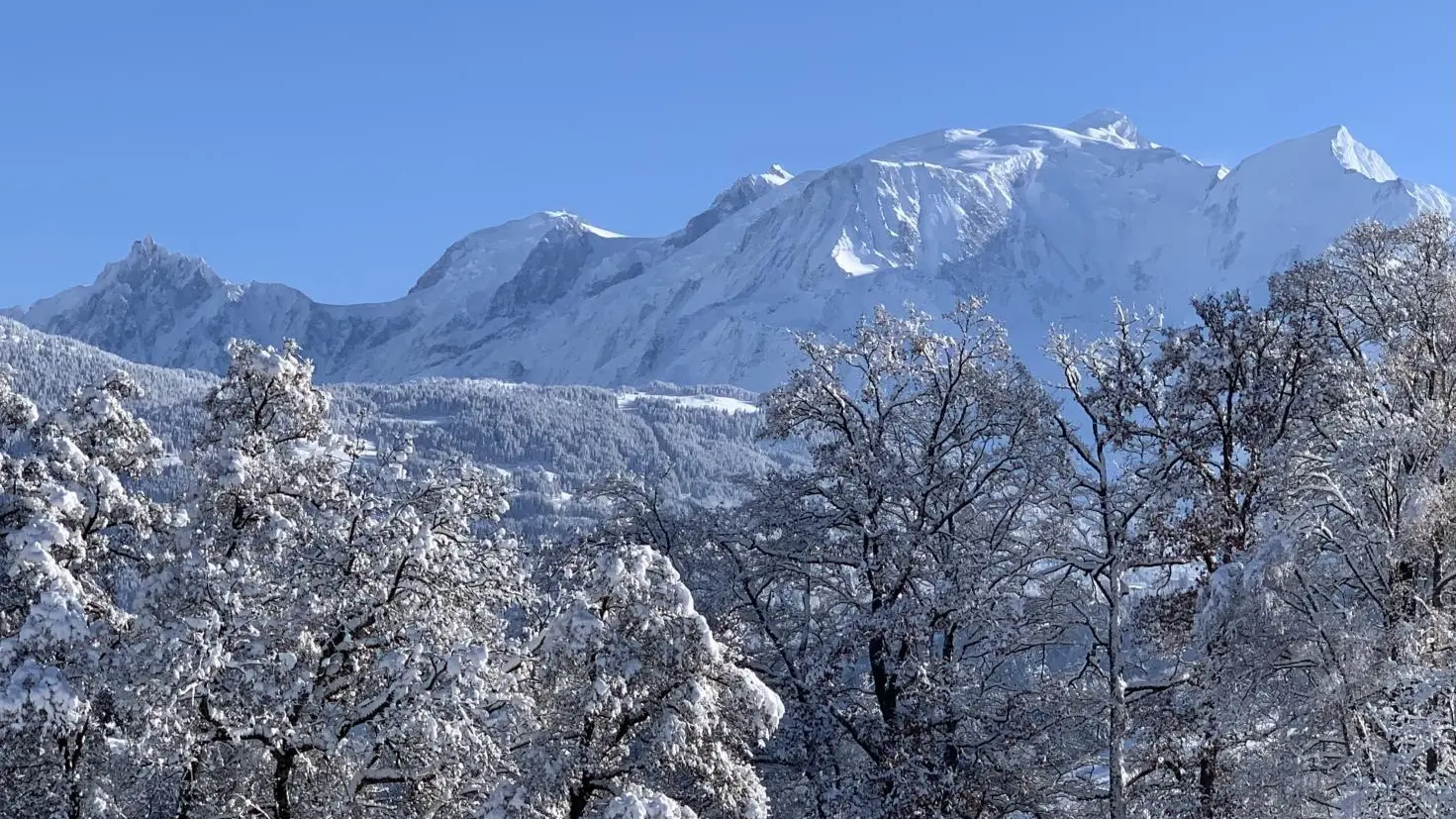 Le Mont Blanc vu de la terrasse et de l'appartement en hiver