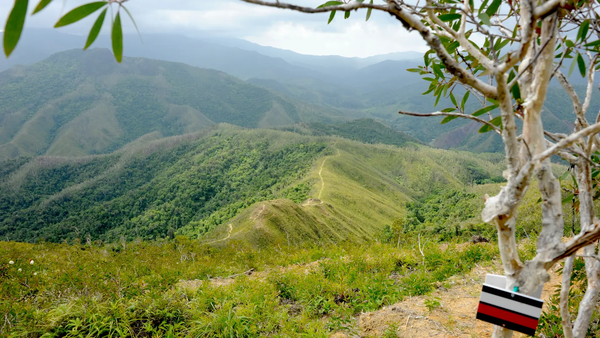 Descente vers la tribu de Pombeï