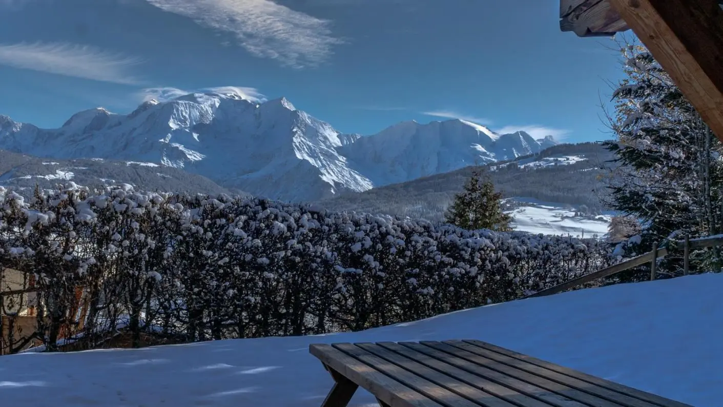 vue Mont Blanc depuis la salle à manger en hiver