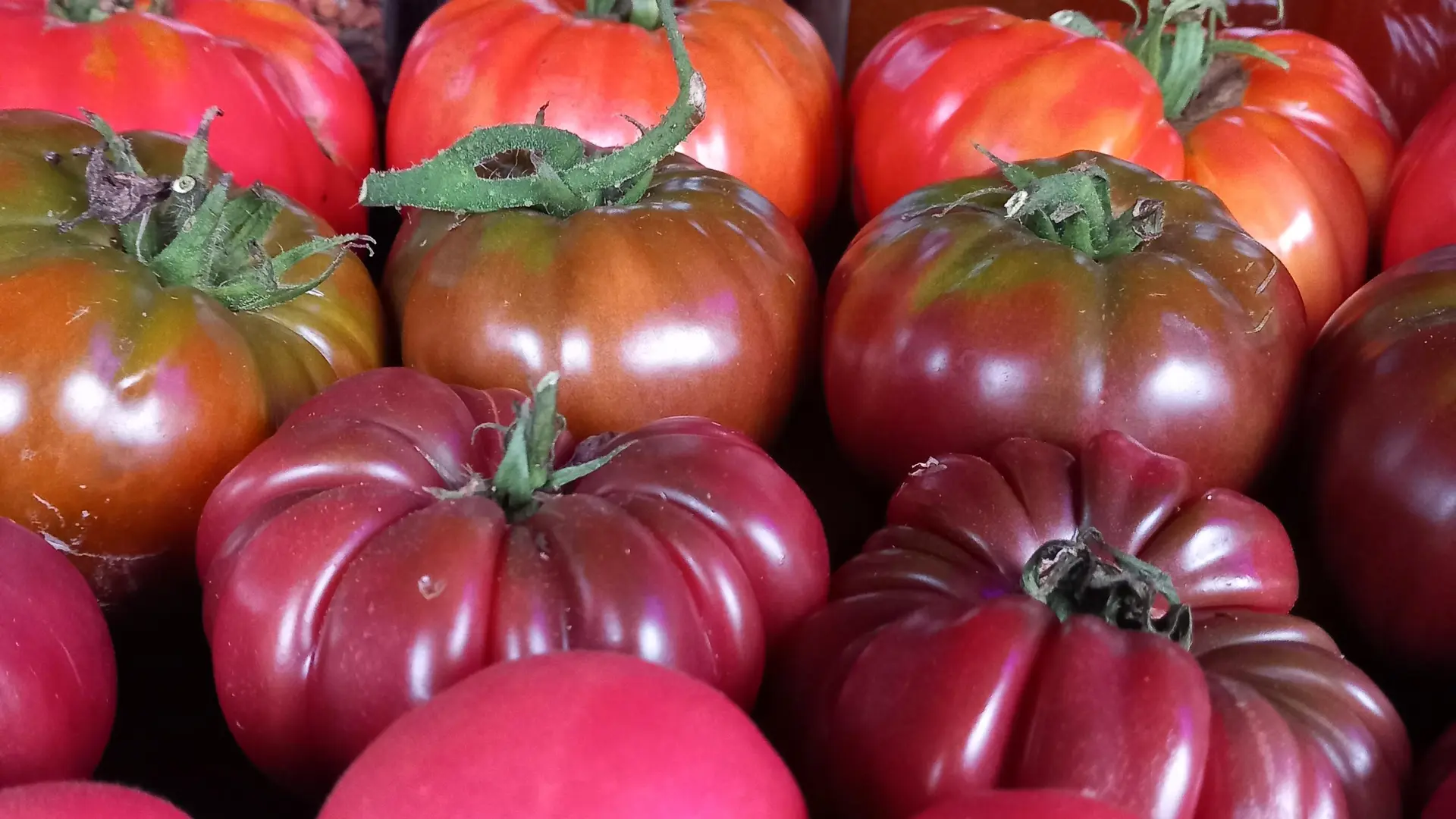 Produits du jardin