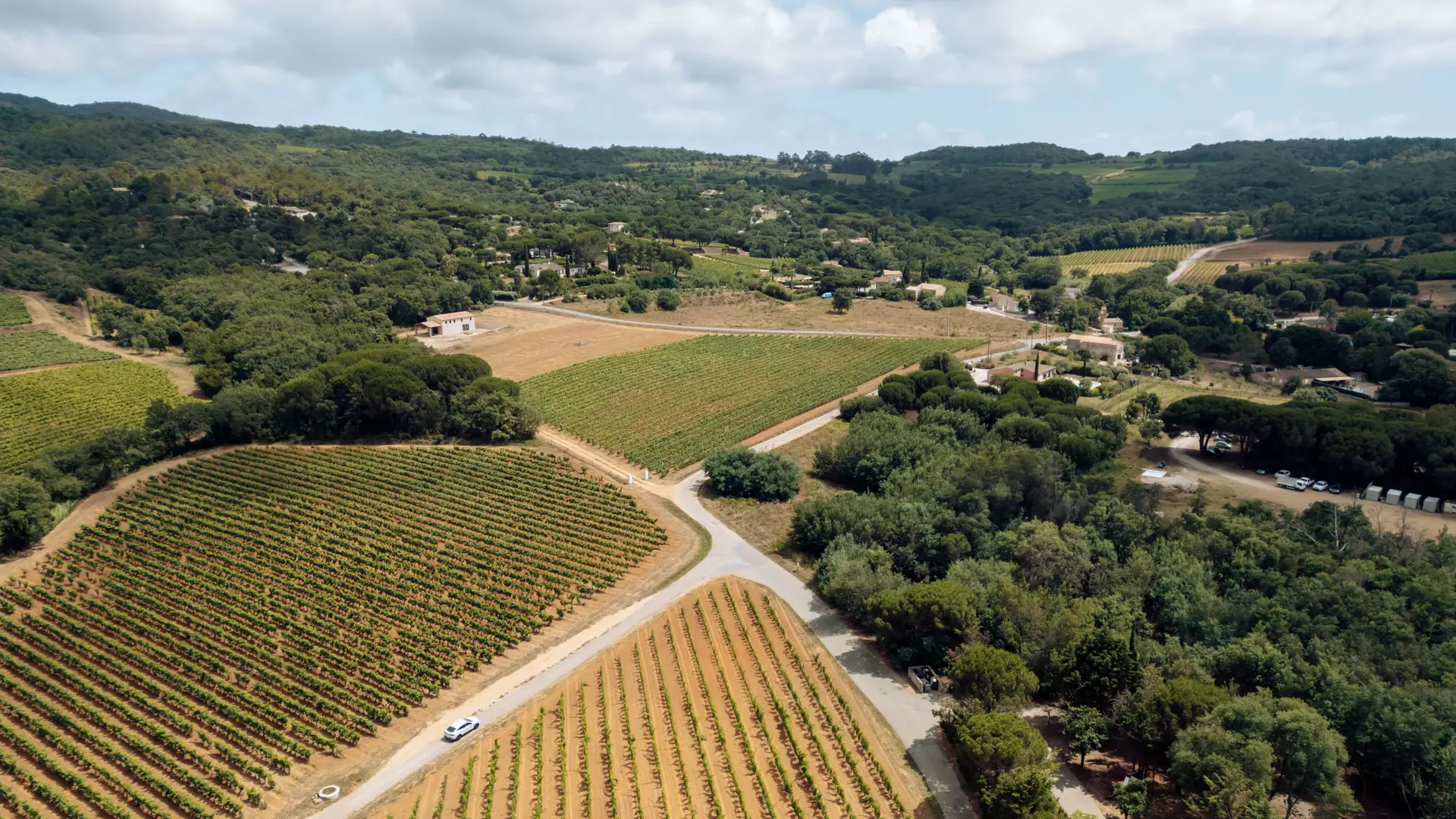 Vue sur les vignes
