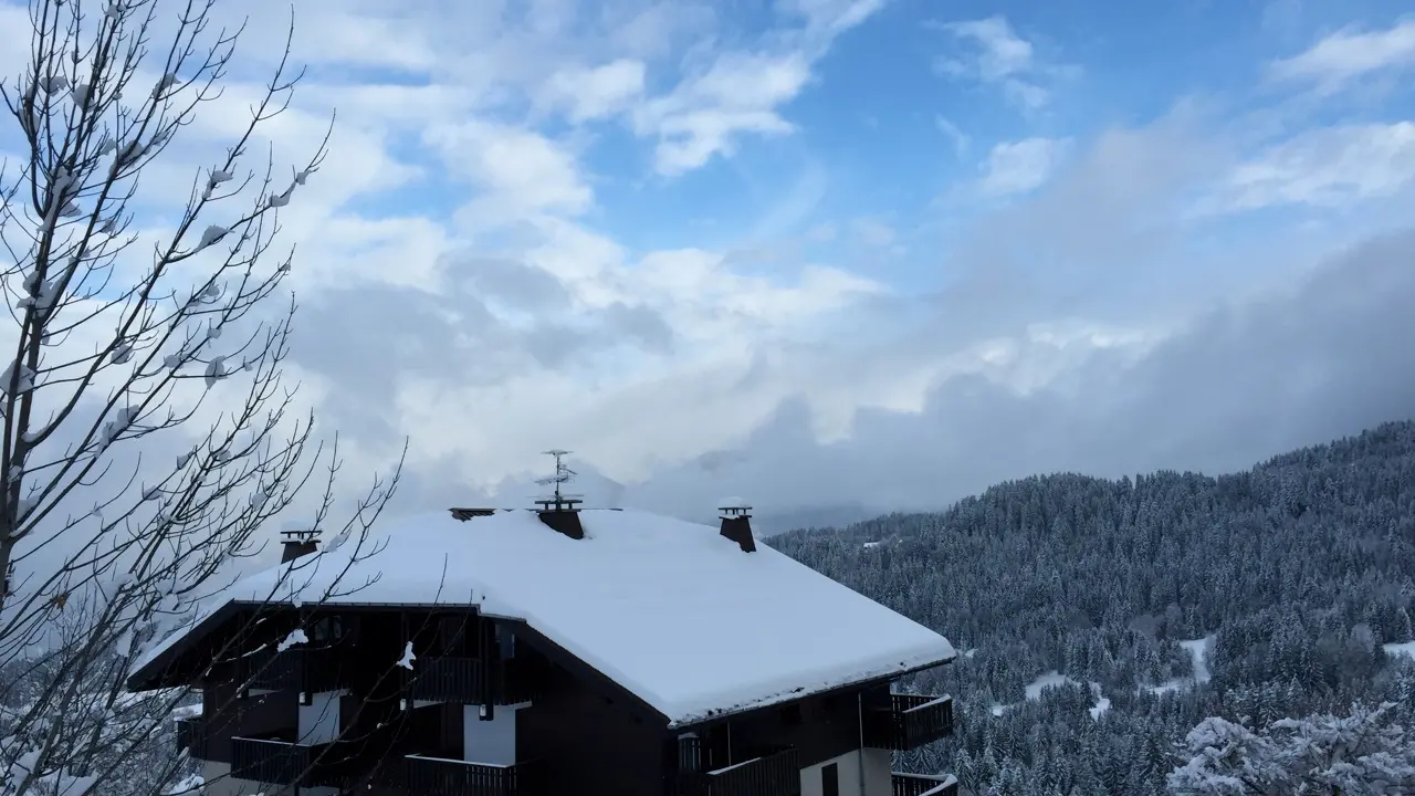 Chalet vue hiver