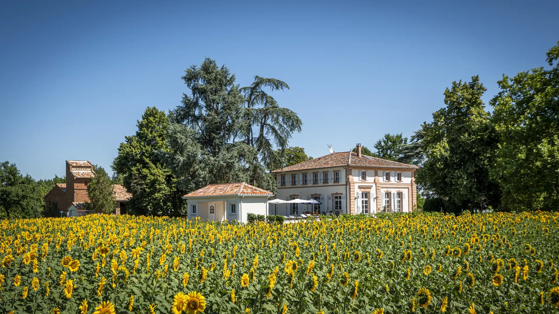 Domaine de la Terrasse Le Gite Lacourt St Pierre