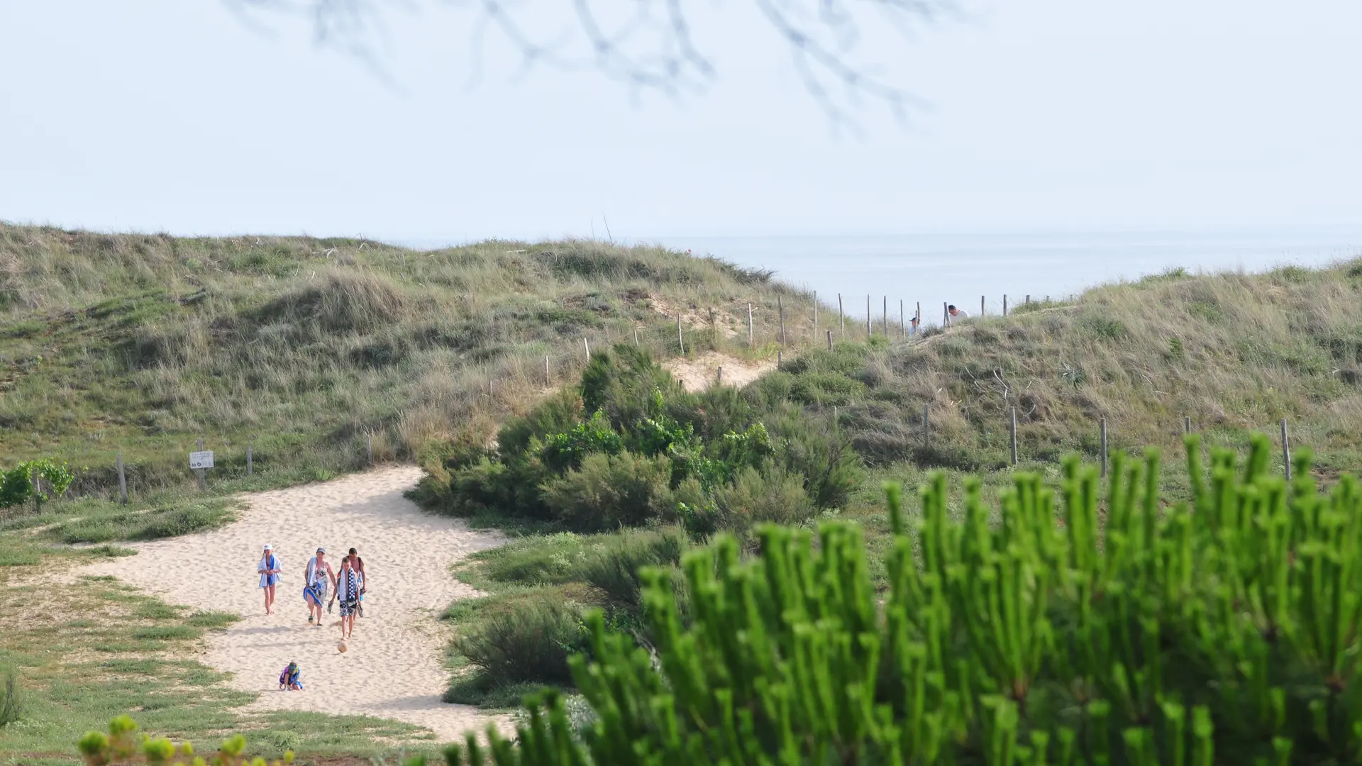 Plage - APV Antioche