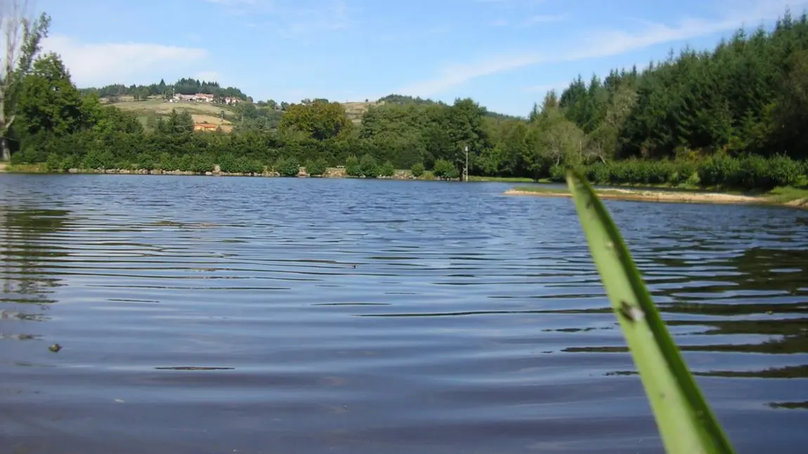Plan d'eau de Chausseterre