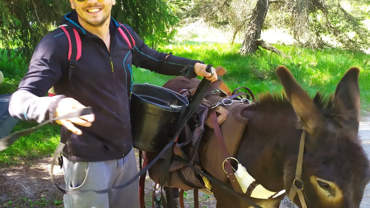 Randonnée avec les ânes - Arbraventure à Champoléon