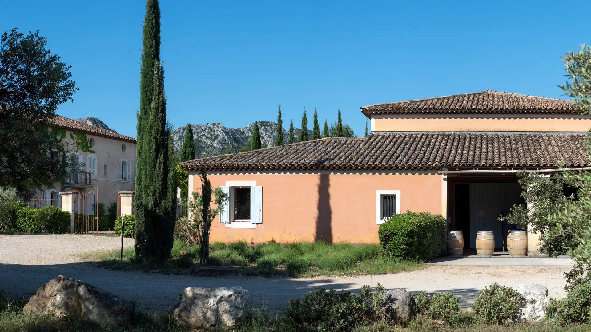 Domaine d'Eole, vignoble à Eygalières