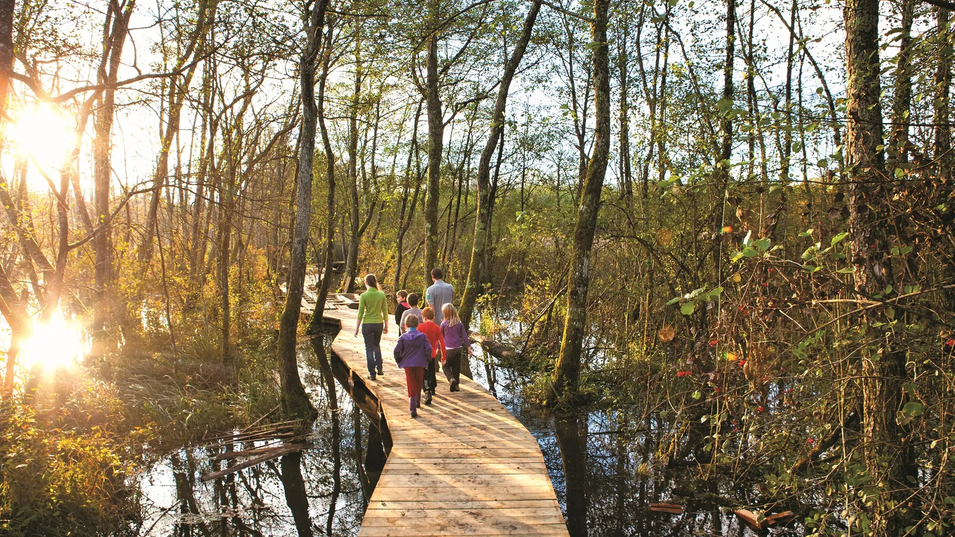 Le sentier sur pilotis au Marais de Lavours