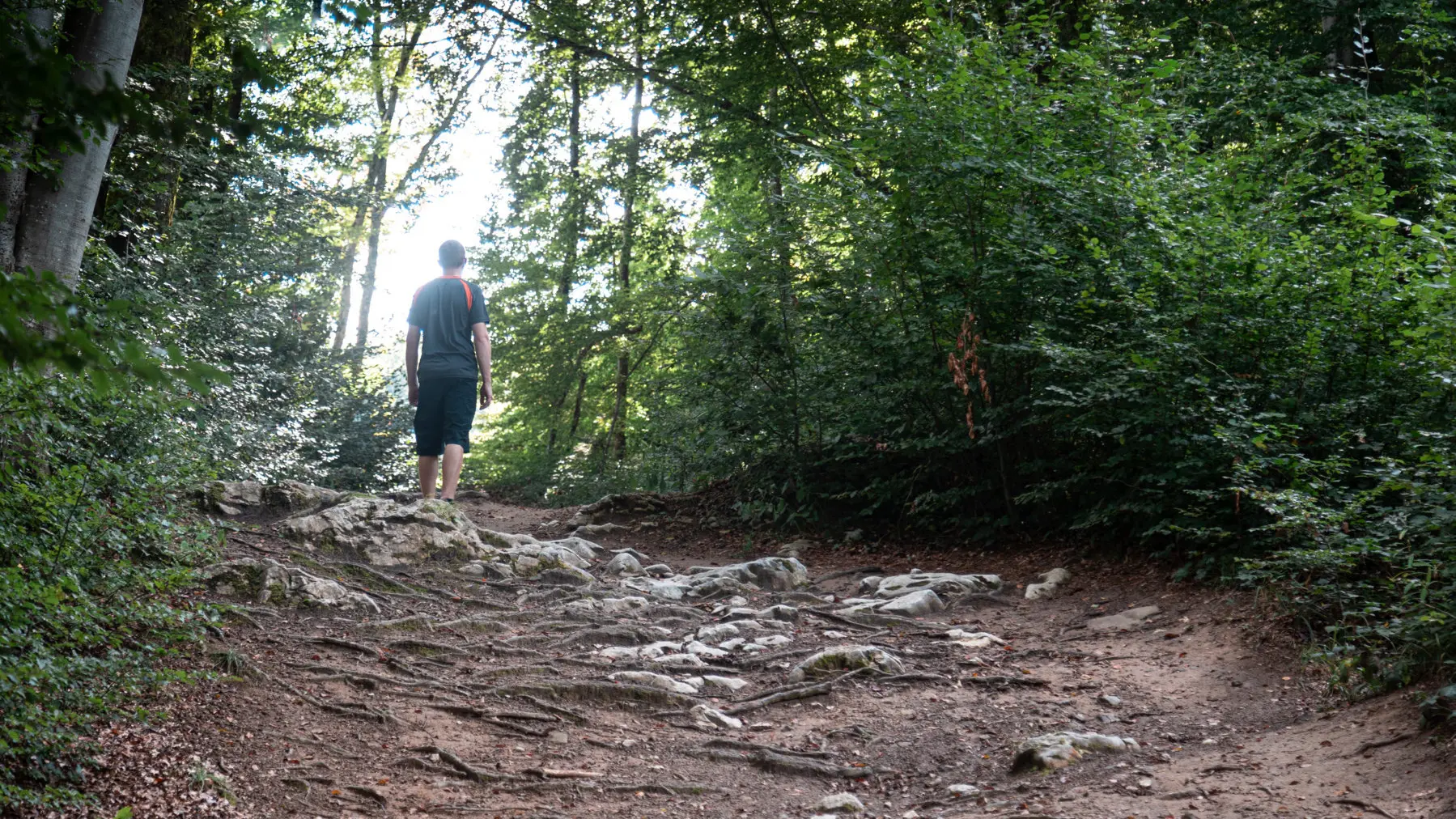 Sentier Clef des faux