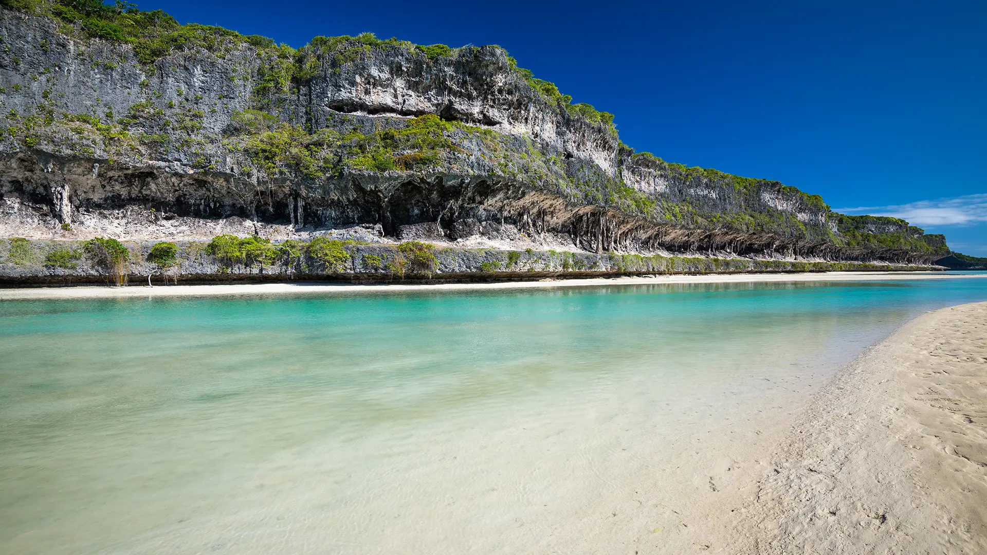 View from the foot of the cliff