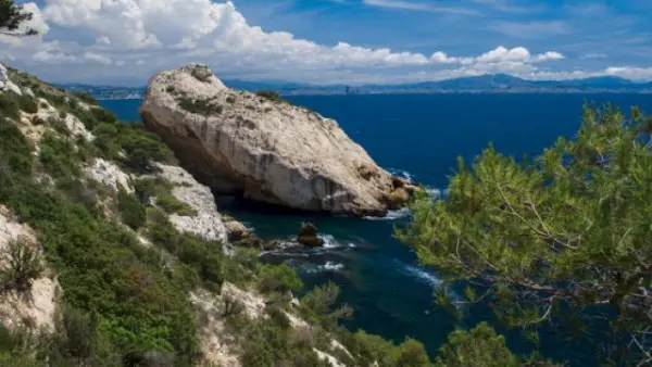 Afternoon cruise : The secret Calanques of Marin park of the Blue Coast