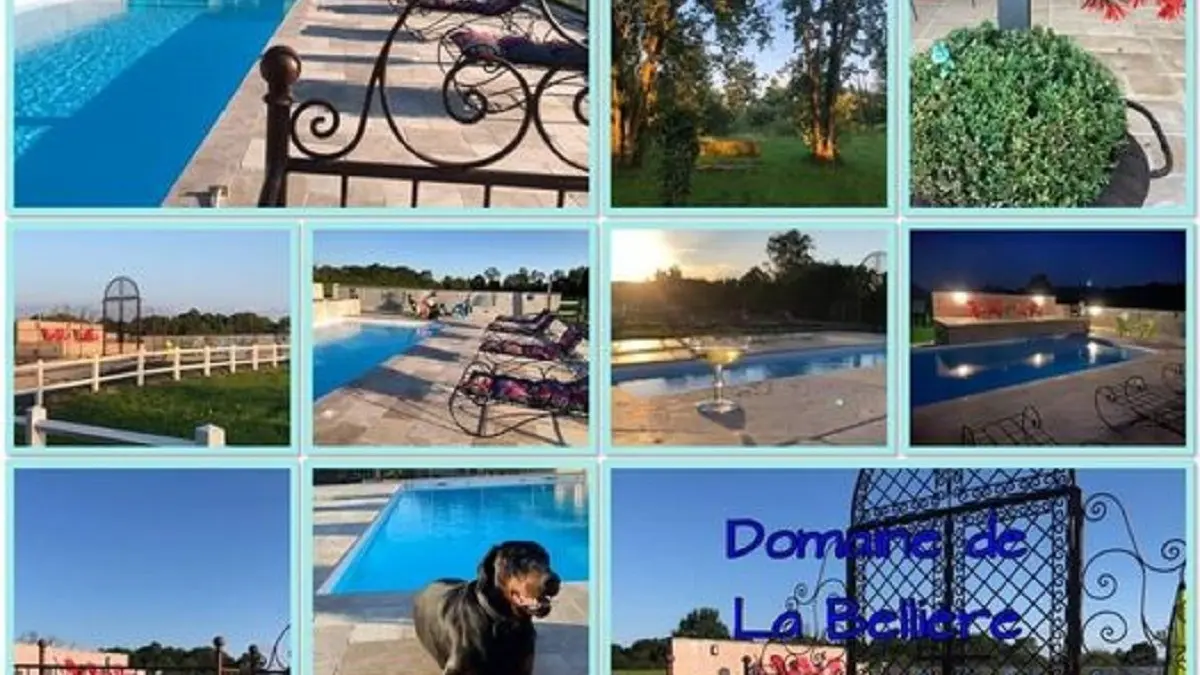 Domaine de la Bellière - Comme si vous y étiez !
