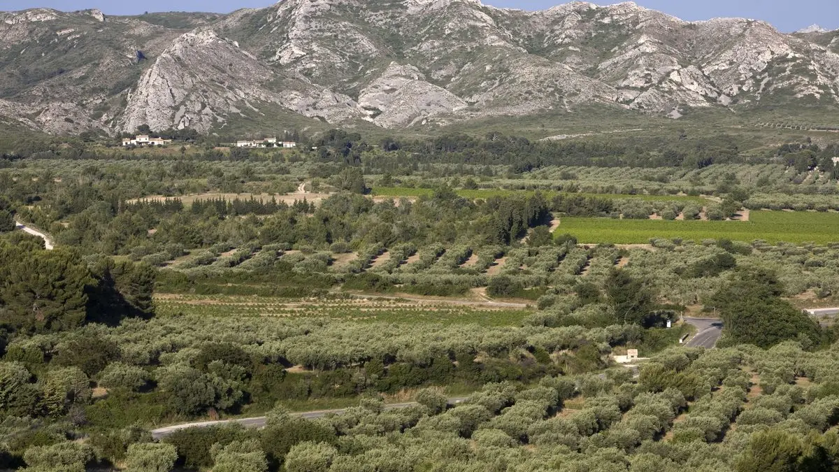 Moulin Castelas