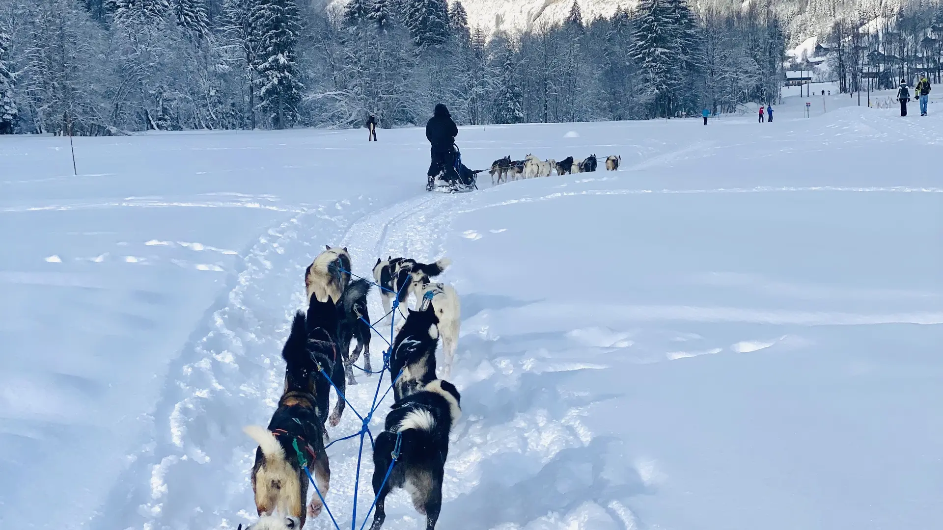 Balade en traineaux