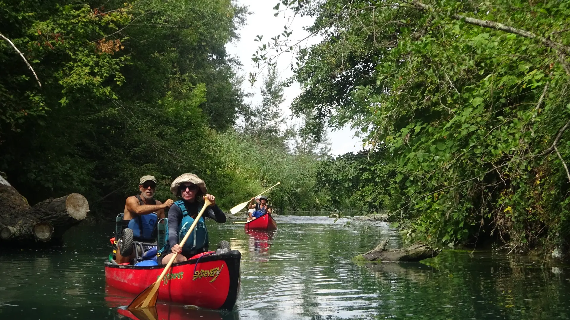 Robinson Canoé, le Petit Rhône à canoé sauvage à Arles