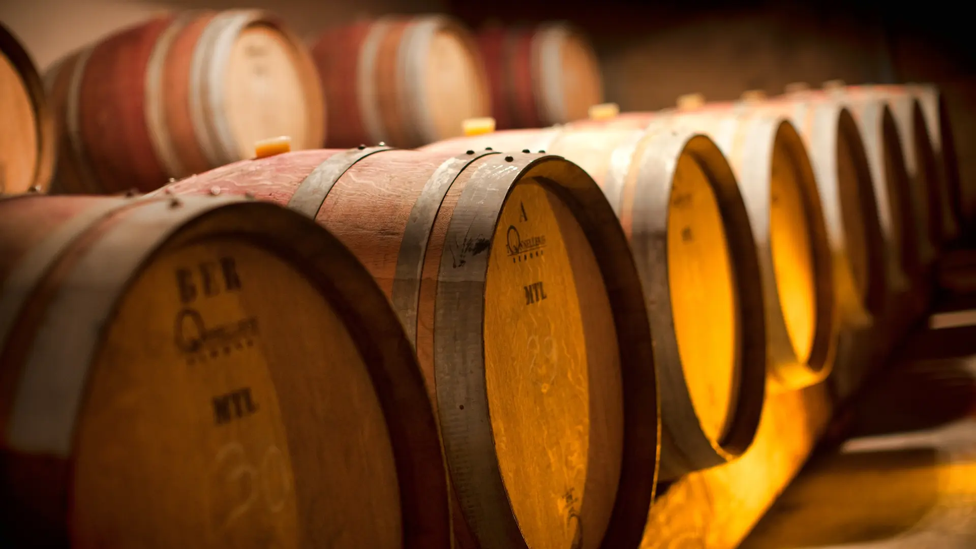 Salle des fûts