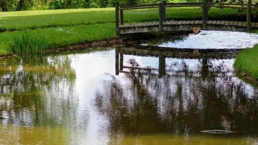 Domaine de Marchal