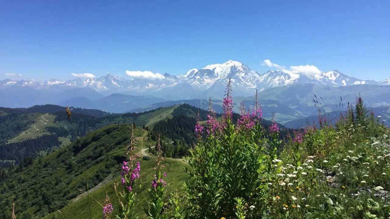 Balade dans le Val d'Arly Vue sur le Mont Blanc
