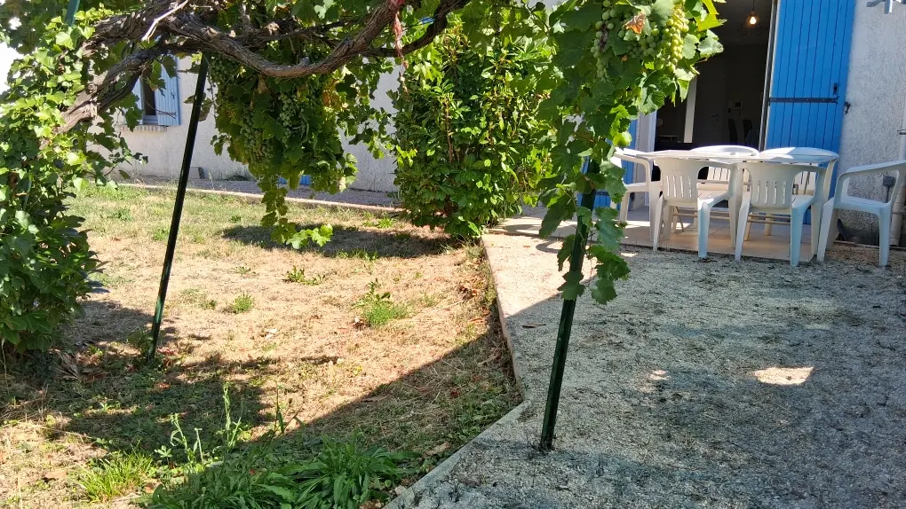 vue sur la terrasse et le jardin