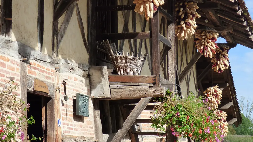 Ecomusée maison de Pays en Bresse