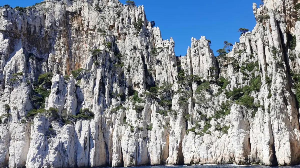 Sorties en mer - Calanques de Cassis & Marseille