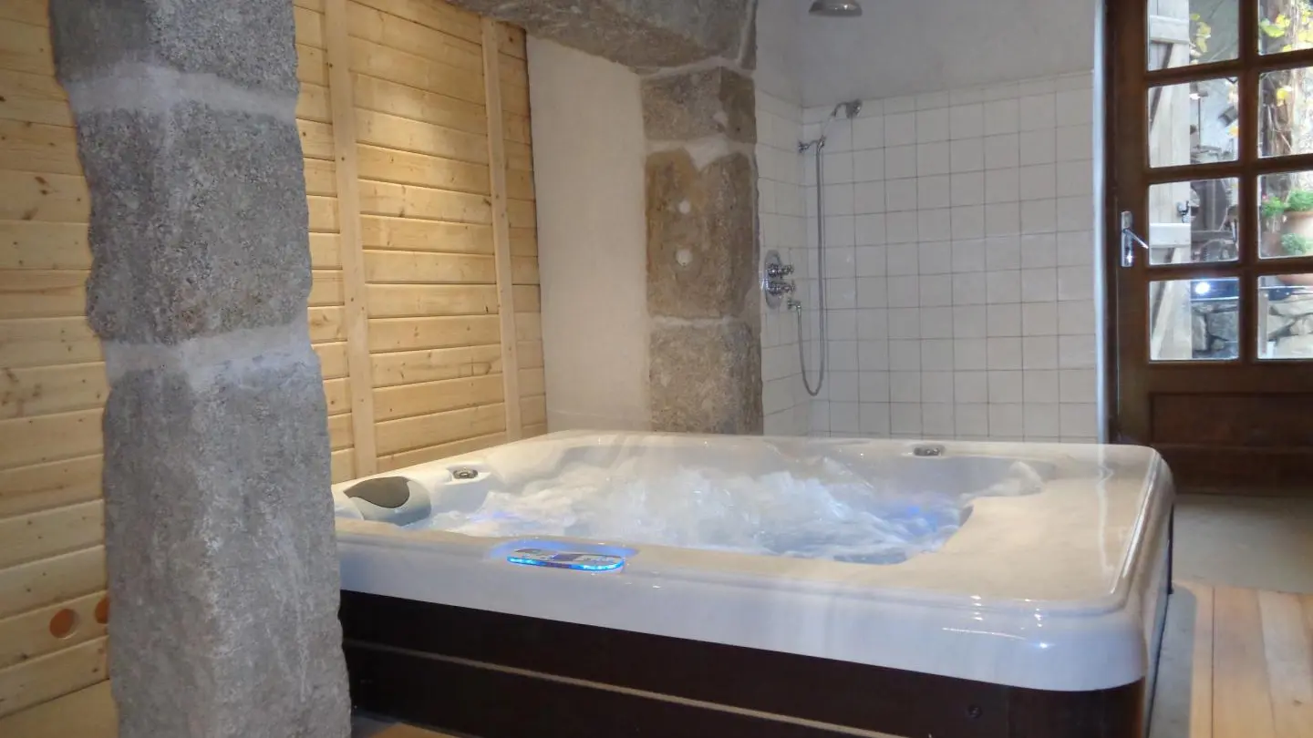 Espace bien-être avec spa, hammam, douche et WC.