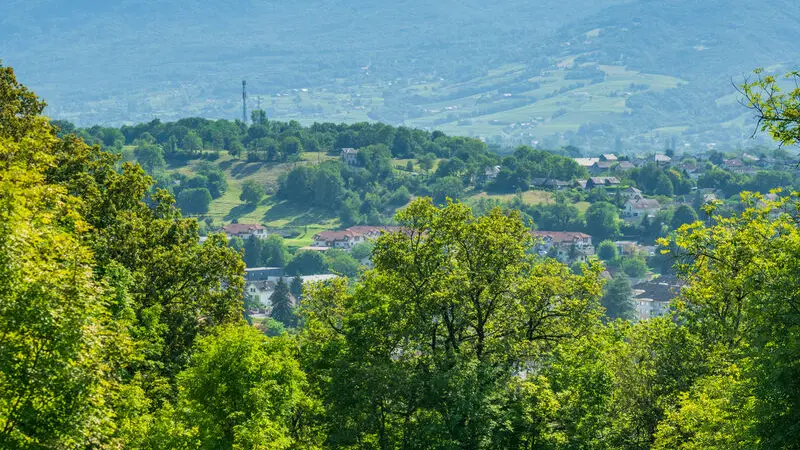 Le chenet