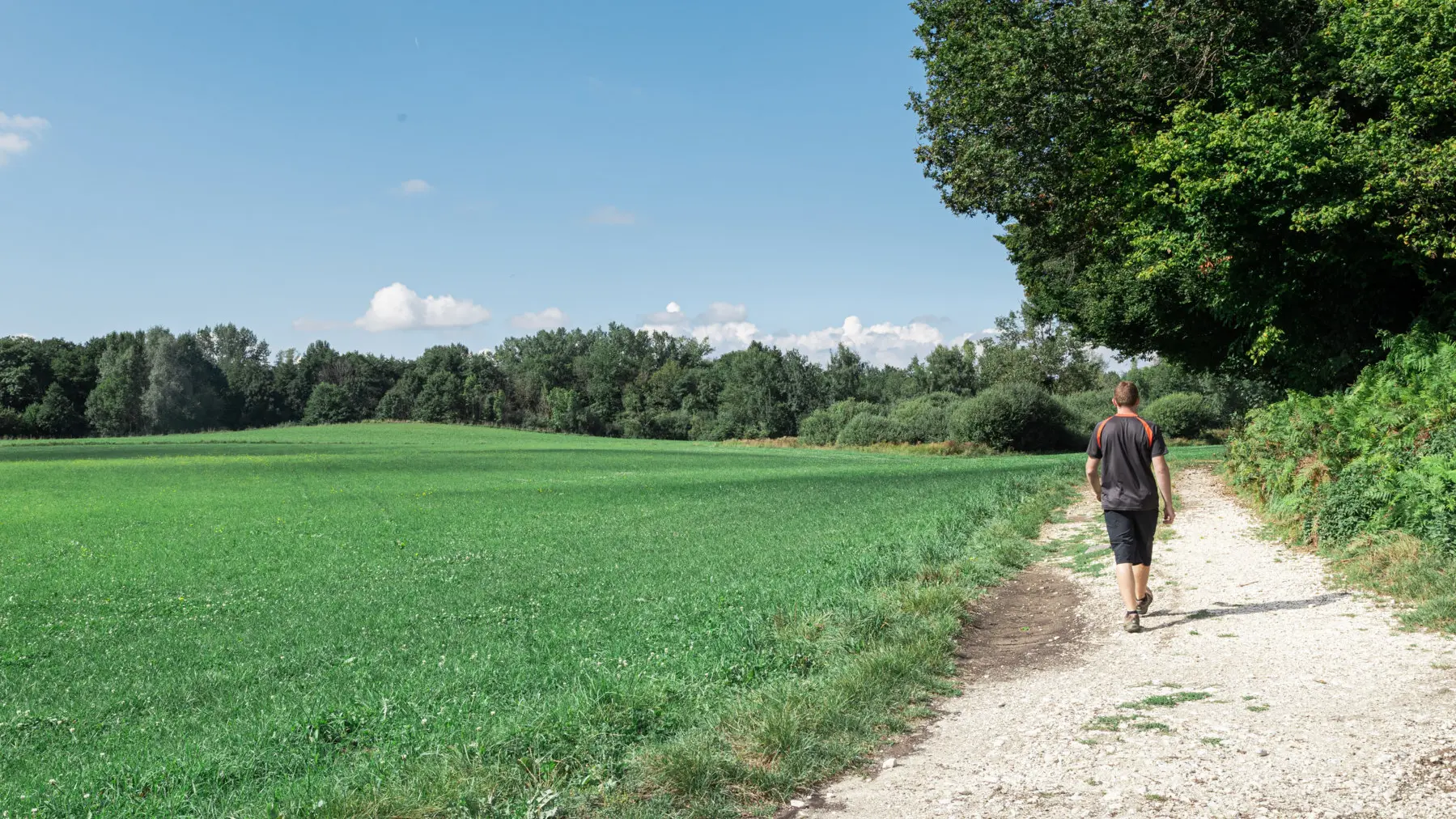 Sentier Clef des faux