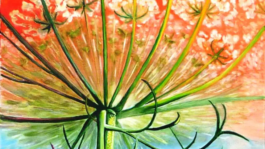 L'atelier de Suzan - Marols