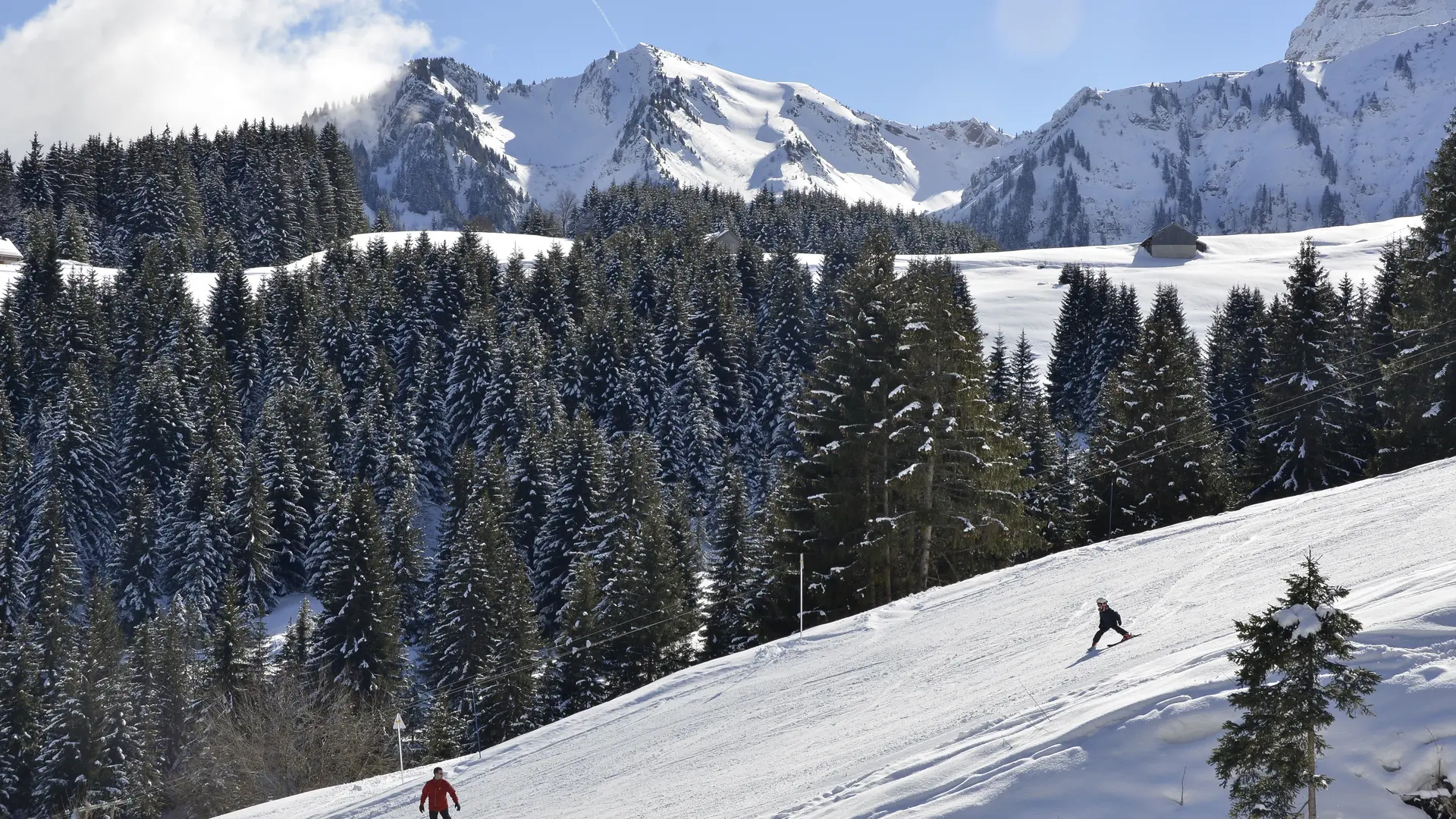 Glisse avec vue sur les sapins et les montagnes