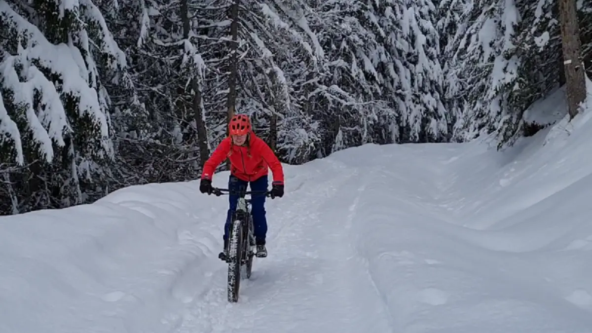 Famil'e-bike