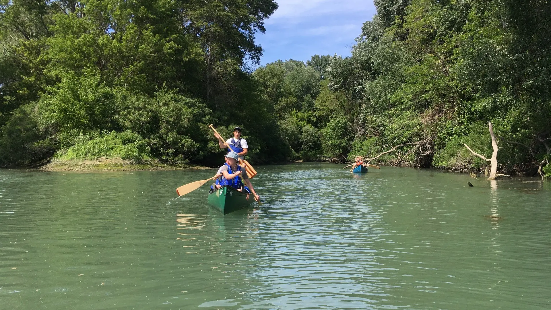 Robinson Canoé, le Petit Rhône à canoé sauvage à Arles