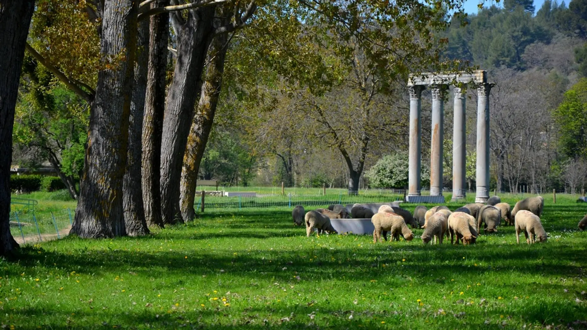 A l'ombre des colonnes