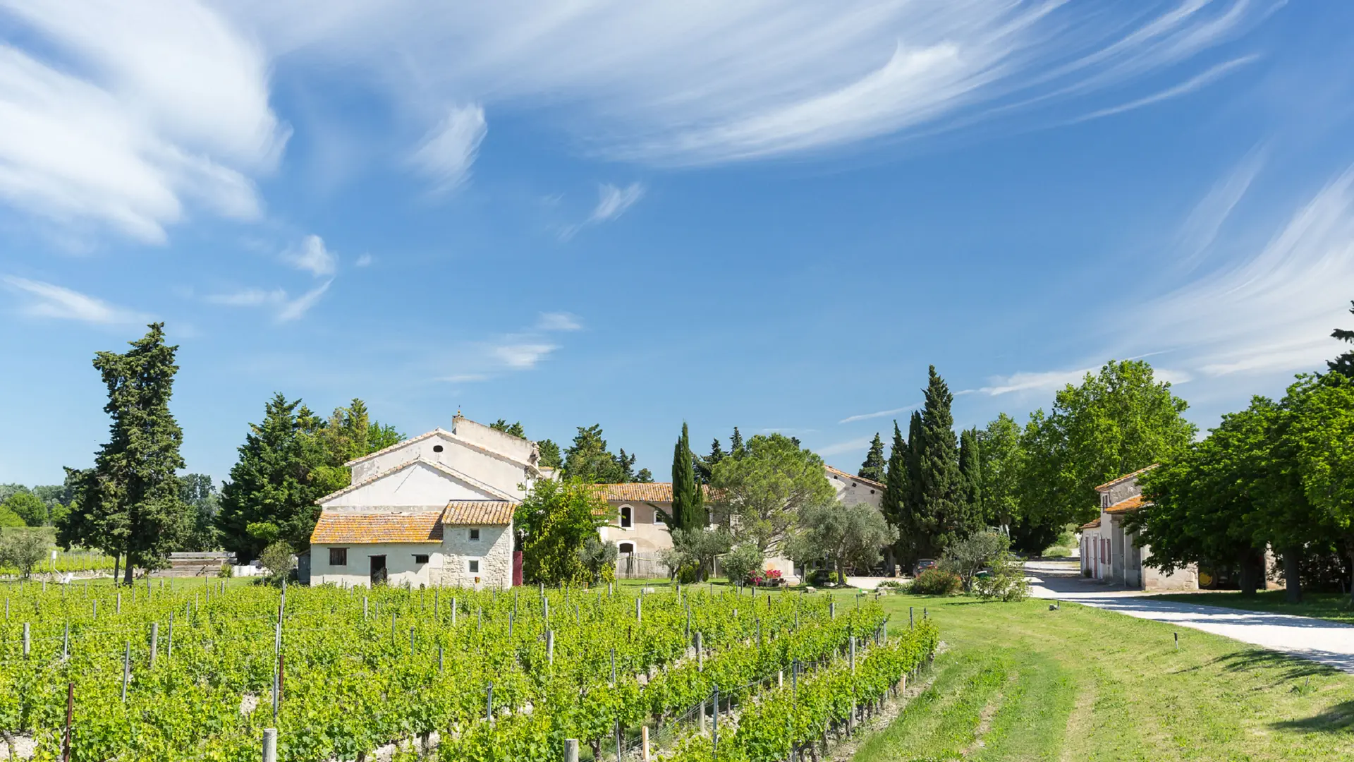 Domaine Mas de Rey Arles