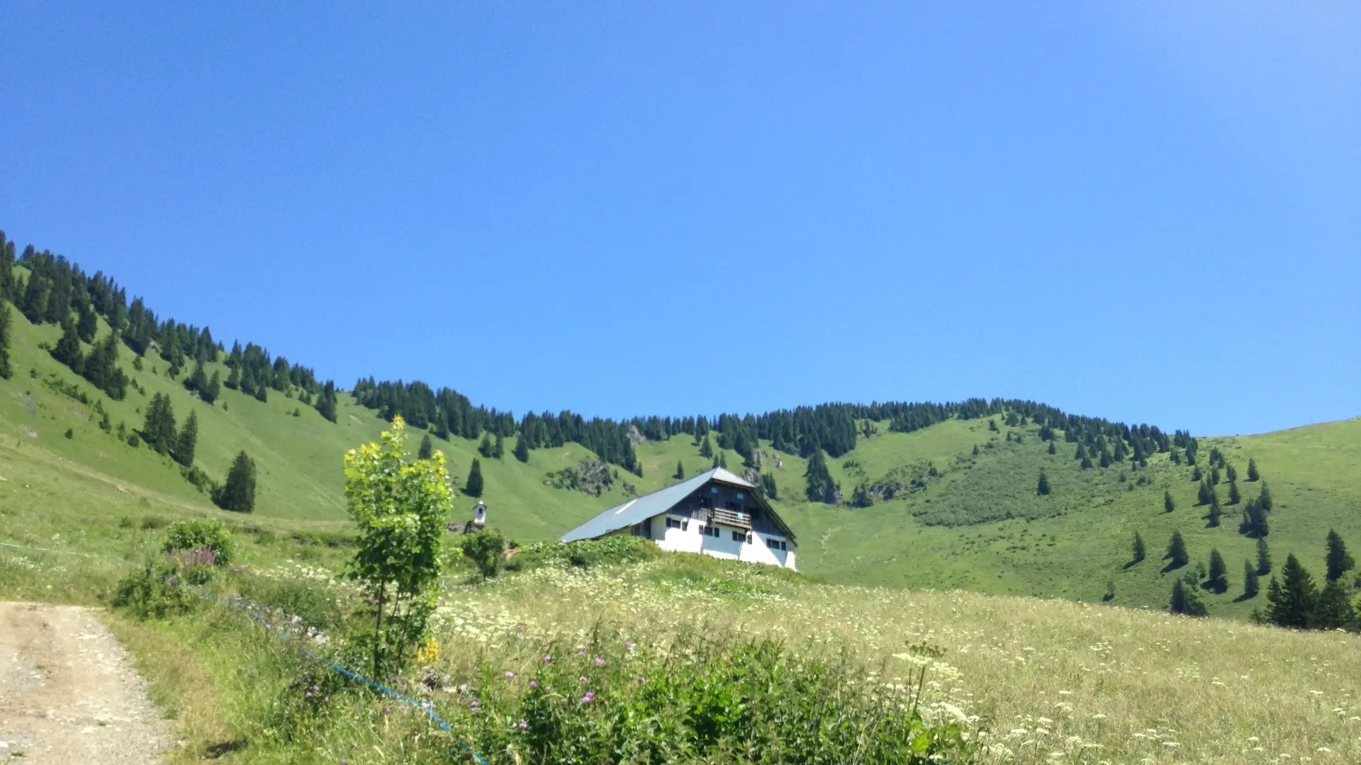 Chalet d'alpage de Barbossine