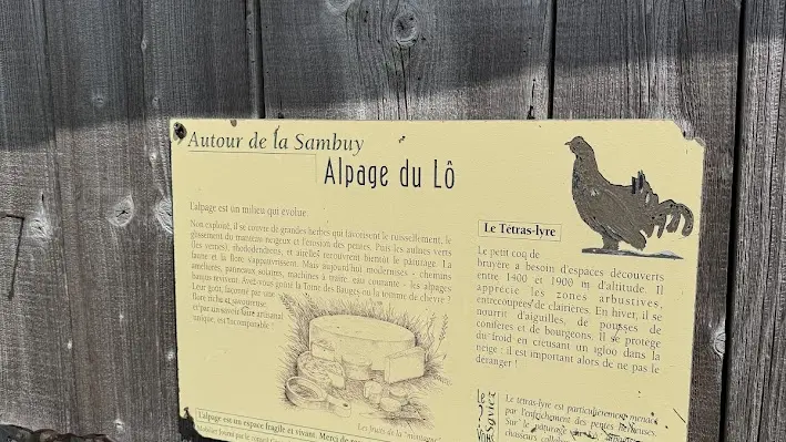 Randonnée pédestre : Boucle d'Orgeval_Faverges-Seythenex