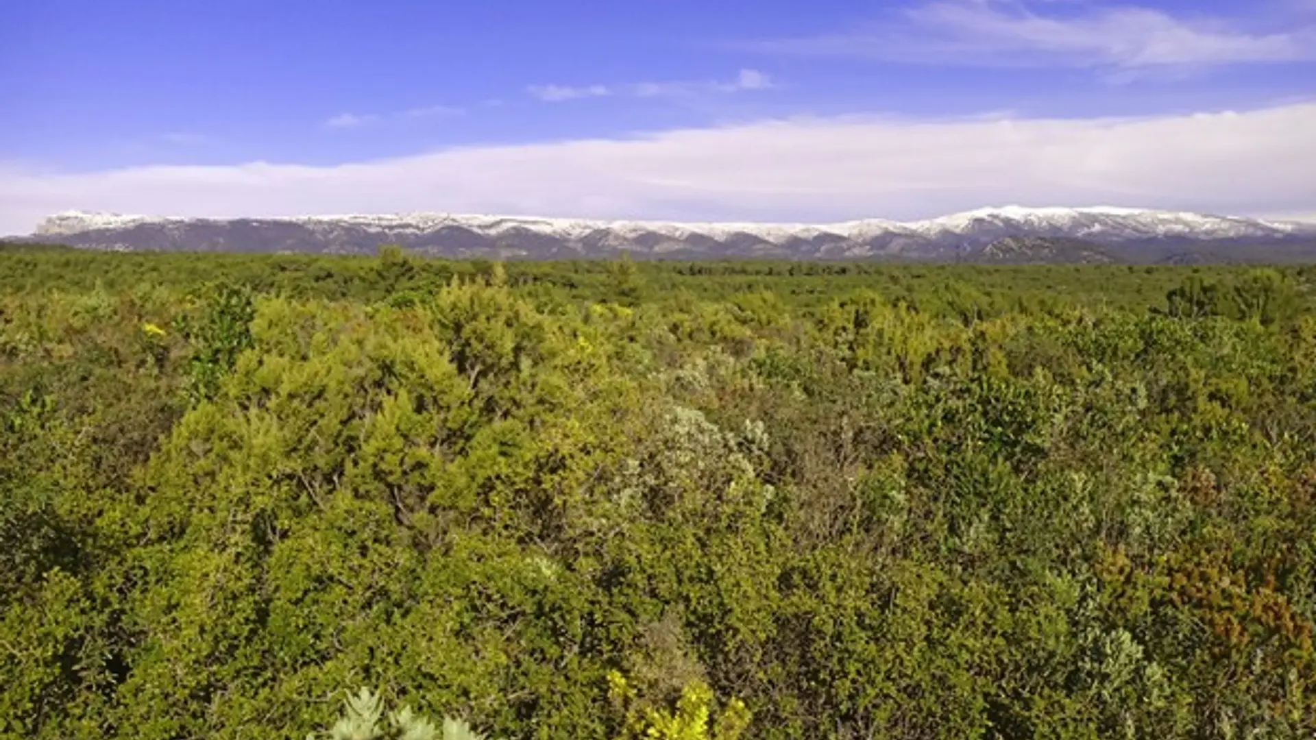 La Sainte-Baume enneigée comme toile de fond