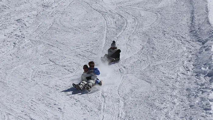 Boarderluge
