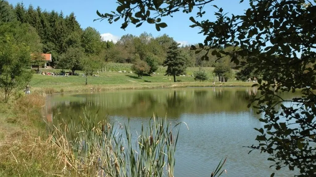 Etang de Valorges à 3kms du gîte. Parcours santé et pêche.